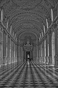 TERZO  UNDER 18  124  SCHENARDI GIADA B2REGGIA VENARIA_risultato